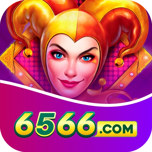 6566 logo